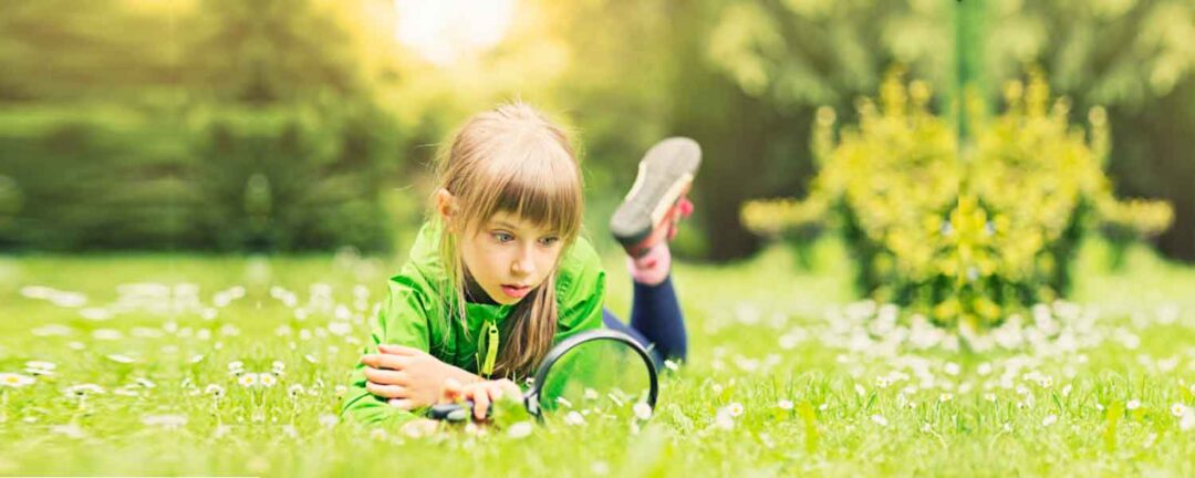 Sinhala essay writing picture