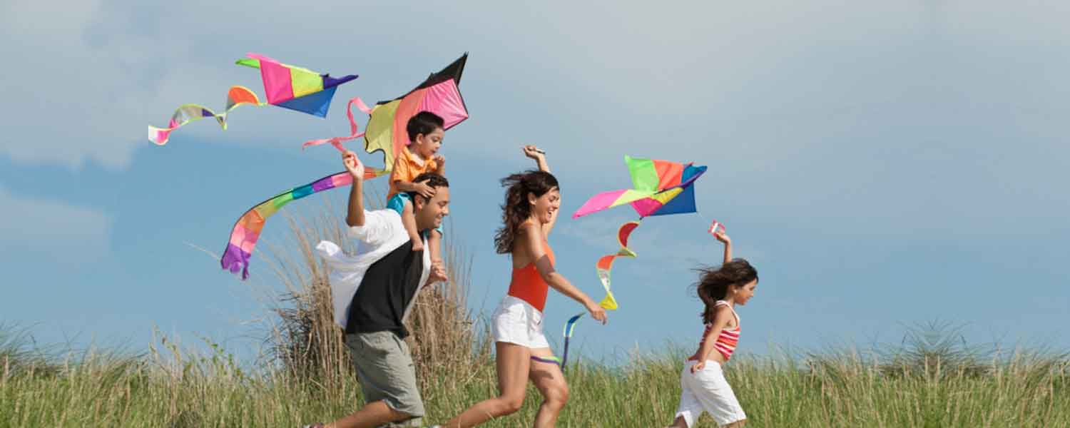 Flying Kites English essay