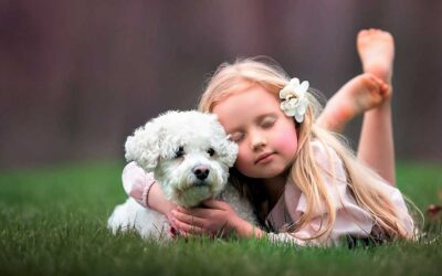 A story -(කතන්දරයක්)