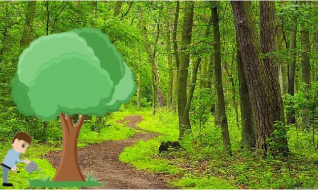 Let’s protect trees- by Kenul Adikari