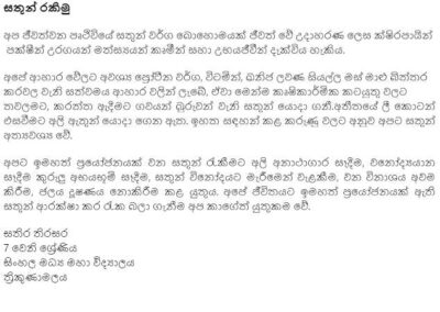 Sinhala | essays for grade 3 picture
