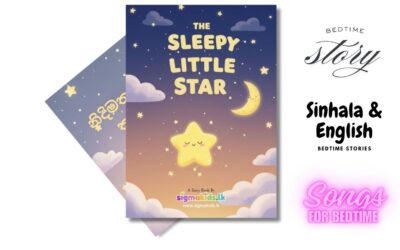 The Sleepy Little Star